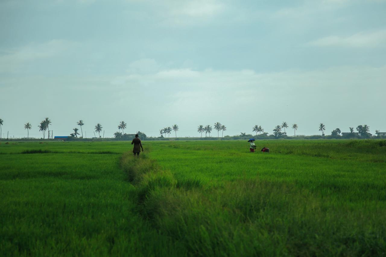 Palmgrove Lake Resort Alappuzha Exterior foto