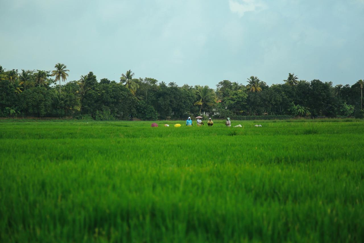 Palmgrove Lake Resort Alappuzha Exterior foto
