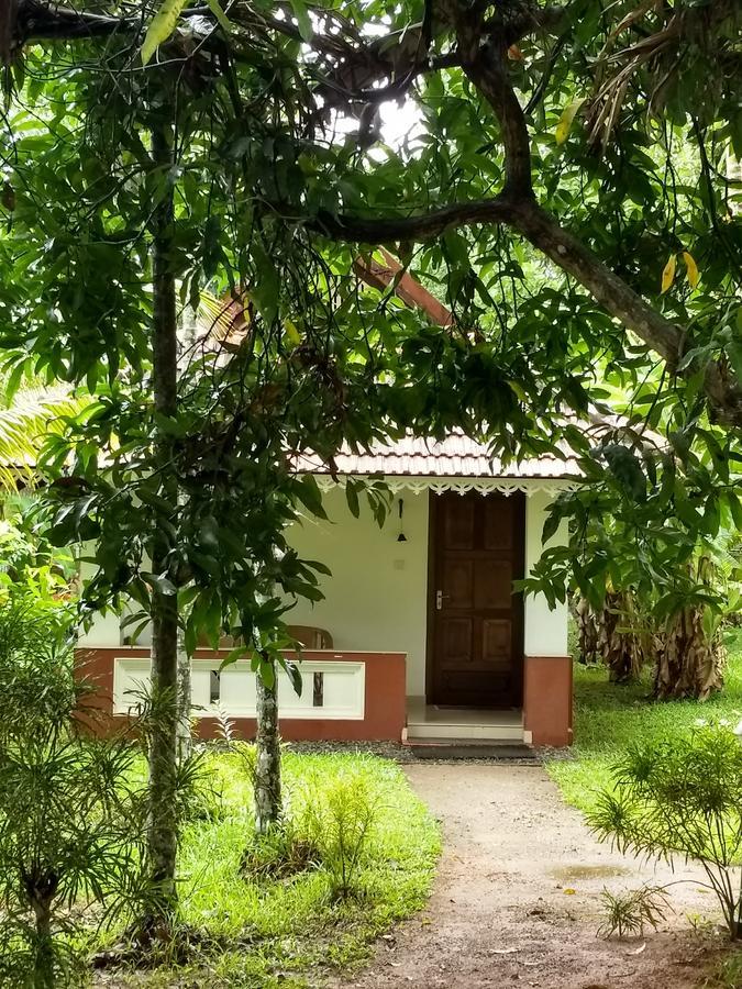 Palmgrove Lake Resort Alappuzha Exterior foto